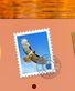 Apple Mail Icon